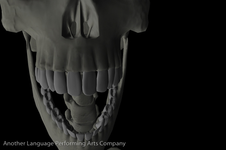 InterPlay: AnARTomy Bone Animations